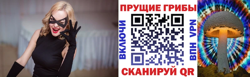 сколько стоит Каменка Галлюциногенные грибы ЛСД